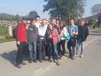 zloty lisc (5)